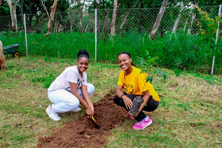 Kamuzu Academy Annual Tree Planting exercise 2025 - Image 11